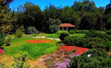 Лайфхак для дачников: зачем весной нужно поливать грядки кипятком