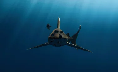 Израильде акула шабуыл жасаған ер адам табылмай жатыр