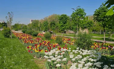 Бүгін еліміздің басым бөлігінде күн ашық болады