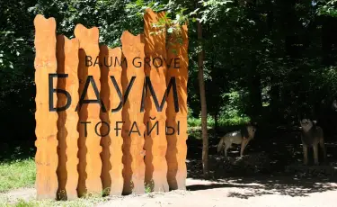 Алматыда Баум тоғайы мен Үлкен Алматы каналын абаттандыру басталады