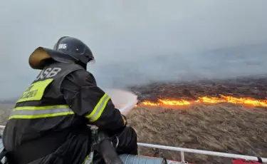Тілсіз жау: 22 орман өртті тіркелді