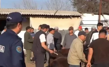 Операция «Скотокрад»: пресечена деятельность 26 преступных групп