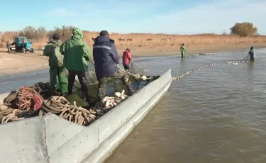 В Алматинской области у браконьеров изъяли свыше 120 килограммов рыбы