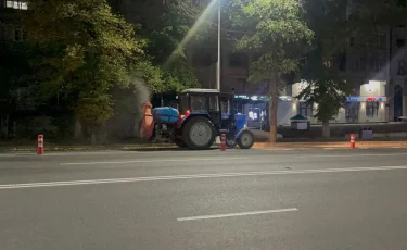 Алматыда жасыл желектерге биологиялық өңдеу жүргізіледі