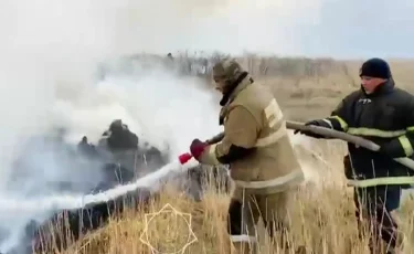 В Восточно-Казахстанской области локализовали возгорание сухостоя