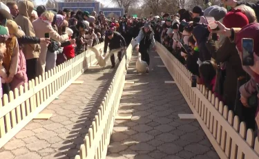 Auyl Fest: в Петропавловске впервые состоялись гусиные бега