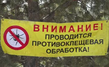 В Алматы стартовал первый тур противоклещевых обработок территорий