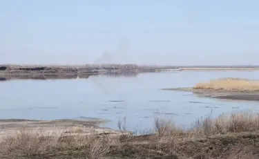 Зловонная проблема: жители жалуются на едкий запах сероводорода в Петропавловске