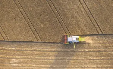 Алматы облысында көктемгі егіс науқаны басталды
