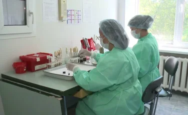 Кене арқылы жұғатын қандай аурулар бар