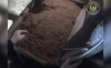 Павлодар облысында үйінде ондаған килограмм есірткі сақтаған адам ұсталды