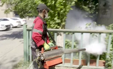 Масамен күрес: Атырауда бюджеттен 244 млн теңге бөлінді