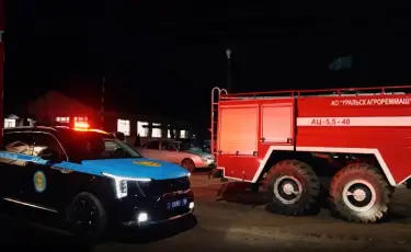 Крупные лесные пожары произошли в области Абай