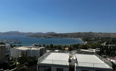 Землетрясение в Стамбуле: в Генконсульство РК казахстанцы пока не обращались