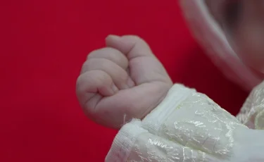 Признают отцовство: какую поддержку предоставляют молодым папам