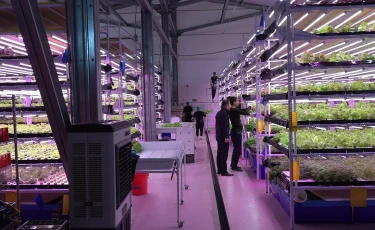 Вертикальная теплица по выращиванию микрозелени запущена в Индустриальной зоне Алматы