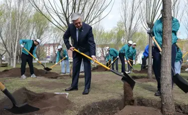 Мемлекет басшысы «Жастар» саябағында ағаш екті