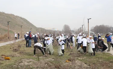 Алматыда «Таза Қазақстан» тұжырымдамасын жүзеге асыру бойынша іс-қимыл жоспары бекітілді