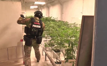 В Павлодарской области сельчанин в домашних условиях выращивал коноплю