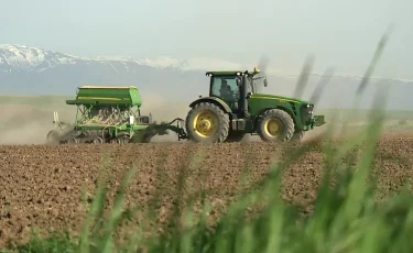 Какую поддержку оказывает государство на развитие сельского хозяйства