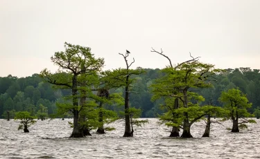 В каких регионах Казахстана сбрасывают больше всего воды