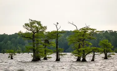 В каких регионах Казахстана сбрасывают больше всего воды