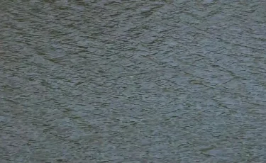 Каспий теңізінде жоғалып кеткен екі балықшының мәйіті табылды