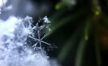 Қар жауып, үсік жүреді: 22 сәуірде ауа райы қандай болады