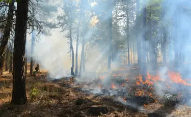 Қазақстанның 12 облысында өрт туындау қаупі бар