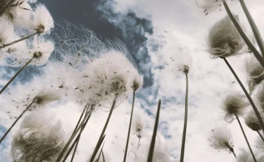 Синоптики предупредили о неблагоприятной погоде в Казахстане 28 апреля