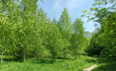 Алматыда 12-18 мамыр аралығында ауа райы қандай болады