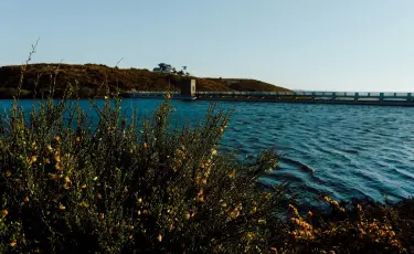 Капшагайское водохранилище достигло максимального уровня воды второй год подряд