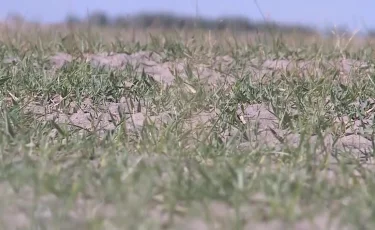 Ақмола облысында 53 млн теңгенің жер телімі мемлекетке қайтарылды