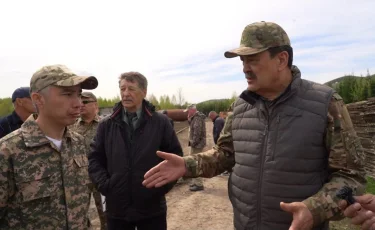 ШҚО-да орман қорын дамытуда қандай шаралар қолға алынып жатыр