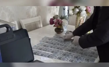 Алматы облысында білім бөлімінің басшысы мен 7 бухгалтер сотталды