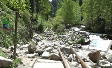 В Алма-Арасане стартовала комплексная модернизация