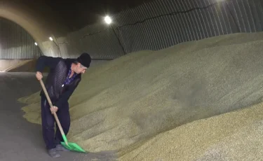 Экспорт муки и зерна вырос на 34% по сравнению с прошлым годом