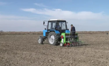 Елімізде қанша млн гектар жерге ауыл шаруашылығы дақылдары егілді