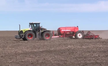 Ауыспалы егіс жүйесі сақталмайды: ШҚО-да 499 мың гектар жер бүлінген