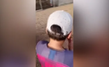 Далаға шығудан қалдық: Түркістан облысында шіркей көбейіп кетті