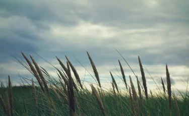 Дождь, гроза и шквалы: прогноз погоды на 10 мая в Казахстане