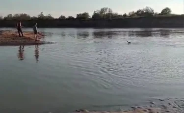 Опасный водоем: в Кызылорде утонул 11-летний школьник