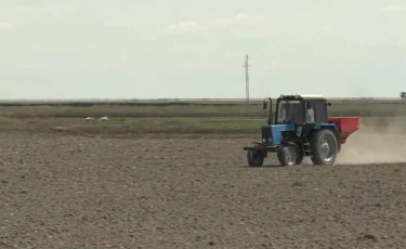 Қазақстанның оңтүстік өңірлерінде көктемгі егіс науқаны аяқталуға жақын