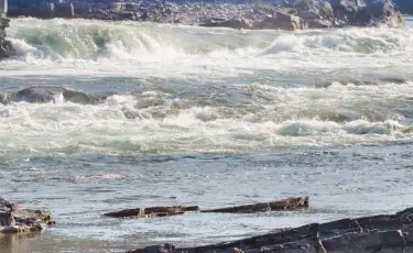 Рекорд: аграрии Жамбылской области получили вдвое больше воды, чем год назад
