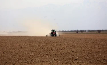 В южных регионах Казахстана завершается посевная кампания