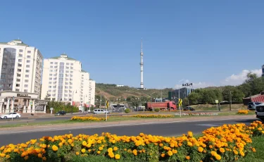 Алматы – Орталық Азияның гастрономиялық астанасы ретінде таныстырылды