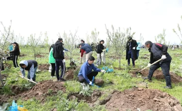 Таза Қазақстан: в Алматы высадят деревья в честь героев Великой Победы