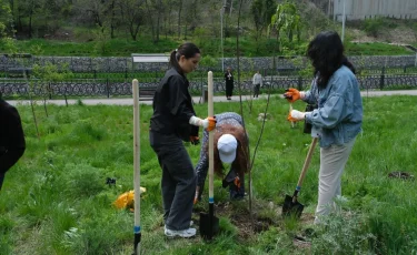 Алматыда "Жасыл ел" экологиялық жасағына кімдер жұмысқа орналаса алады