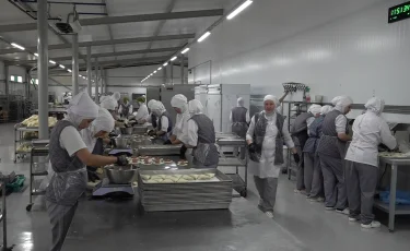 Развитие МСБ: какие категории граждан могут претендовать на поддержку бизнеса