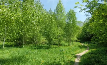 Участок Нацпарка вернули в госсобственность в Алматинской области